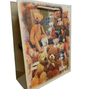 GIFTBAG TEDDY DESIGN 23X18X8CM