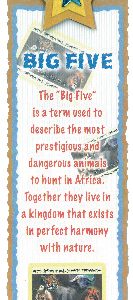 BOOK MARK BIG 5 GOLD & BLUE STAR