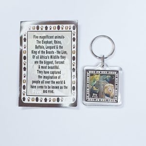 KEYRING ACRYL BIG 5 BROWN BOARDER W/M/C