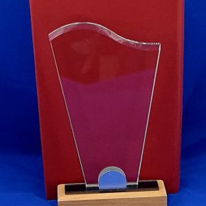 TROPHY GLASS CURVE 22X14X1CM W/WOODEN