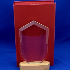 TROPHY GLASS POINTED TOP 18X12X1.5CM W/