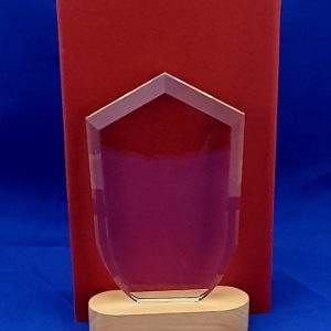 TROPHY GLASS POINTED TOP 22X14X1.5CM W/