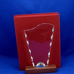 TROPHY GLASS CURVE 16X12X1CM