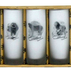 BIG 5 TALL GLASSES SET OF 5