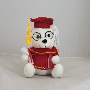 TEDDY GRADUATION RED/WHITE 15CM