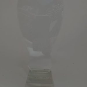 TROPHY GLASS CLEAR 27X9CM