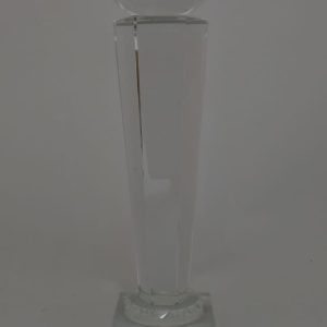 TROPHY GLASS 25CM