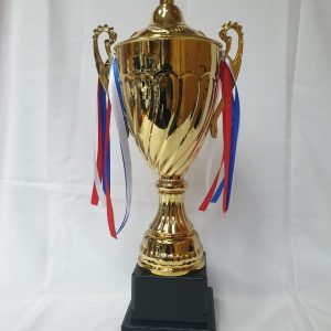 TROPHY METAL GOLD 42CM