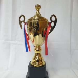TROPHY METAL GOLD 35CM