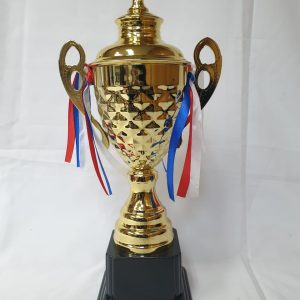 TROHPY METAL GOLD 37CM