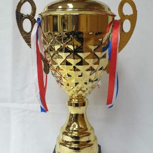 TROHPY METAL GOLD 48CM