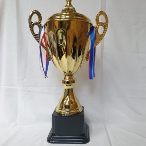 TROHPY METAL GOLD 51CM