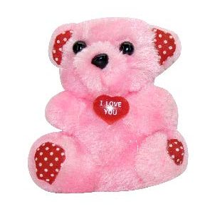 TEDDY W/HEART 10CM FOR PACK OF 24