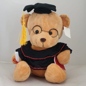 TEDDY GRADUATION DOG  33CM