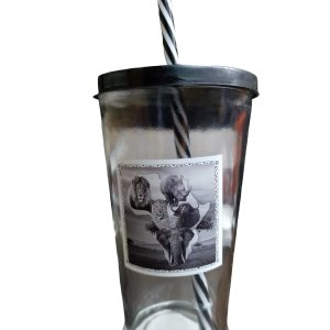 GLASS W/LID & STRAW BIG 5