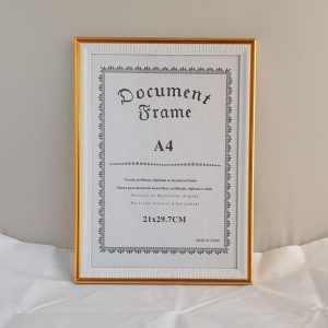 A4 FRAME GOLD/WHITE