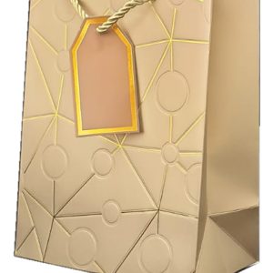 GIFTBAG GOLD W/STAR/CIRCLE 23X18X10CM