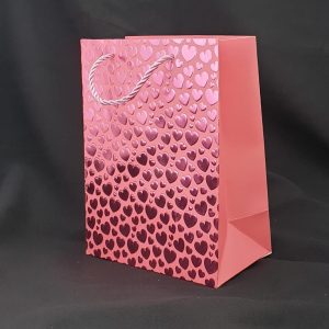GIFTBAG PINK W/HEARTS 23X18X10CM