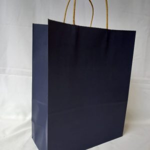 GIFTBAG N/BLUE 27X22X11CM