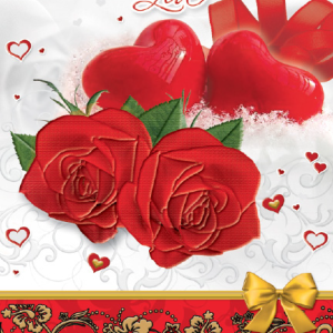 CARDS VALENTINE CARDS 5PCS18.5X12.7CM