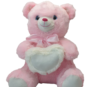 TEDDY PINK W/WHITE PLAIN HEART 16"