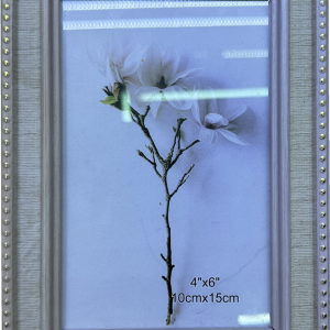 FRAME A4 BEIGE/SILVER 29.7X21CM