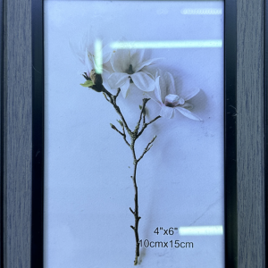 FRAME A4 GREY/BLACK 29.7X21CM