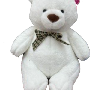 TEDDY WHITE W/GREEN/BEIGE BOW  42CM