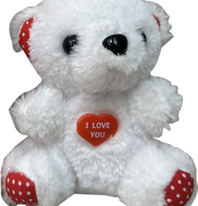 TEDDY WHITE WITH RED HEART 10CM