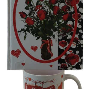 NOTEBOOK ON 11OZ LOVE MUG