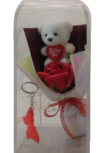 TEDDY & ROSE WITH K/RING IN PVC BOX