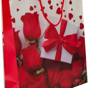 GIFTBAG LOVE/FLOWERS/HEARTS #9 21X18X8C