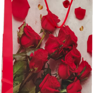 GIFTBAG LOVE/HEART/FLOWERS #15 32X25X10C