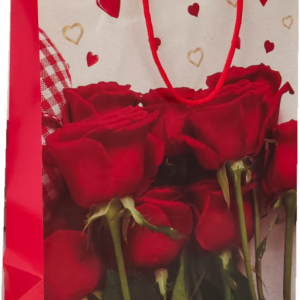 GIFTBAG LOVE/HEART/FLOWERS #16 32X25X10C