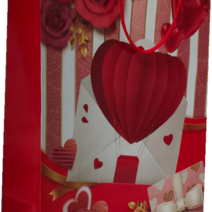 GIFTBAG LOVE/HEARTS #48 32X25X10C